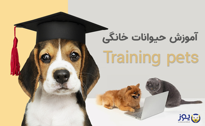 گرید بنر 8 تایی فروشگاه